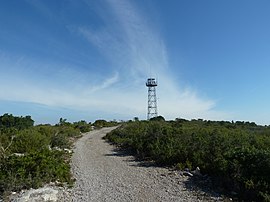 Puig de la Mola.jpg