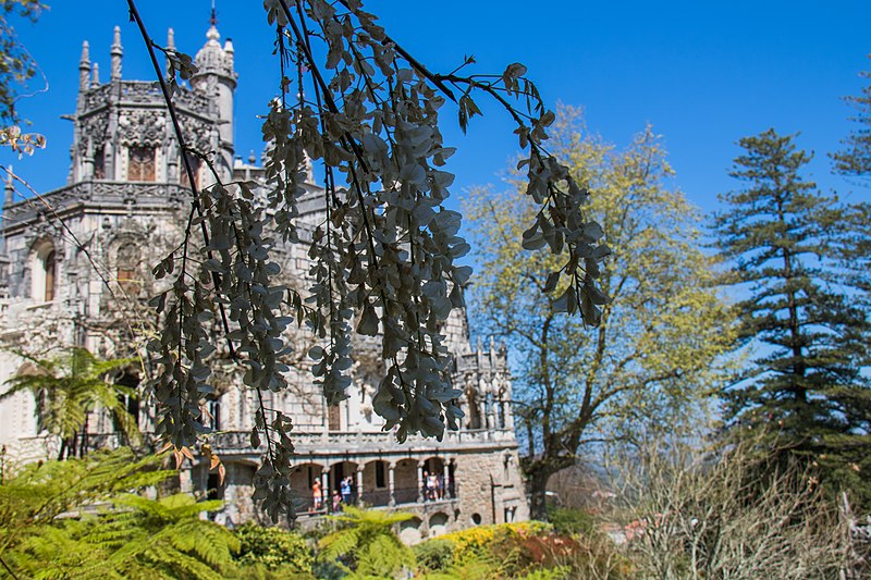 File:Quinta da Regaleira (34942655852).jpg