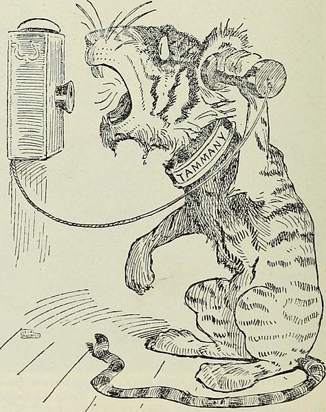 tiger on telephone
