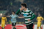 Vignette pour Ricky van Wolfswinkel