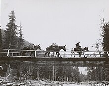 A group of three pack mules and a rider crossing a river on a rope and log bridge