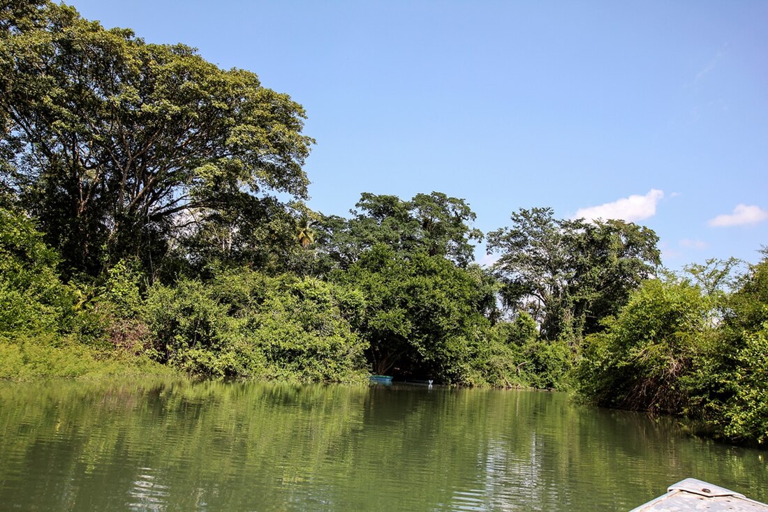 Petexbatún Lake