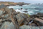 Thumbnail for File:Roquerio costero Pichidangui - A742367.jpg