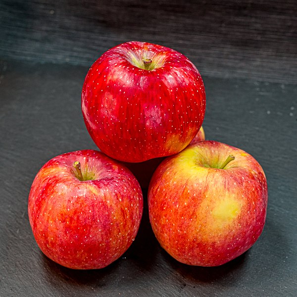 File:Rubelit (apple) jm122803.jpg