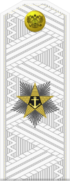 Русија-морнарица-OF-9-1994-white.svg