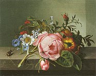 Ruysch, Rachel — Rosenzweig mit Käfer und Biene — 1741