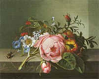Ruysch, Rachel — Rosenzweig mit Käfer und Biene — 1741.jpg