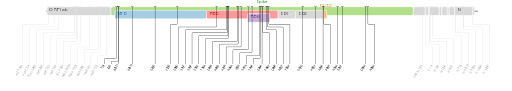 Les mutations du variant Omicron sur une carte génomique du SARS-CoV-2