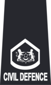 SCDF WO1.png