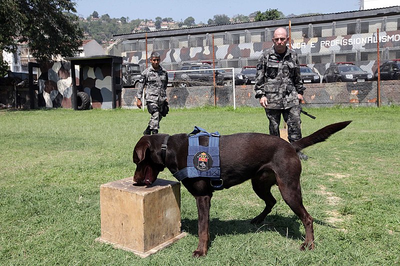 File:SS BAC Foto Salvador Scofano-SS-MP BAC Foto Maurucio Pingo- 24092015 003.jpg