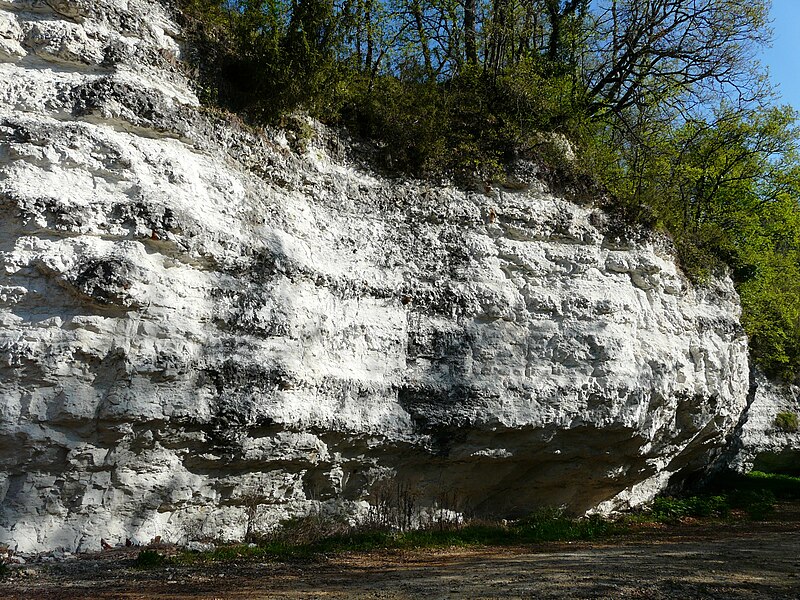 File:Saint-Astier (Dordogne) falaise calcaire (1).jpg