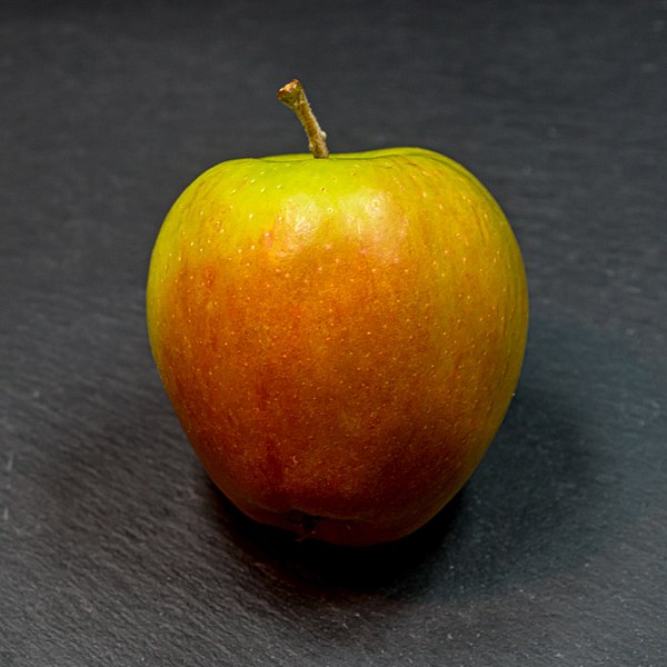 File:Sapora (apple) jm122787.jpg