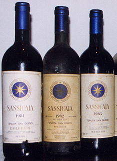 Tenuta San Guido