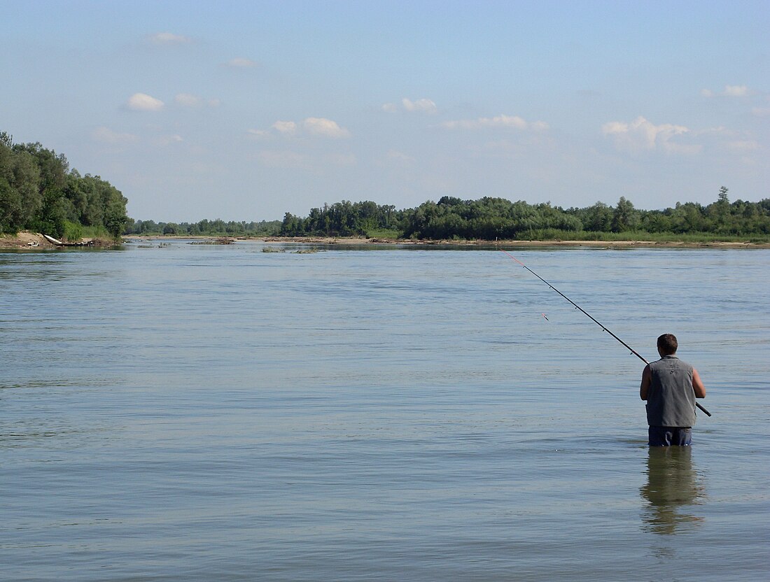 Површинске воде