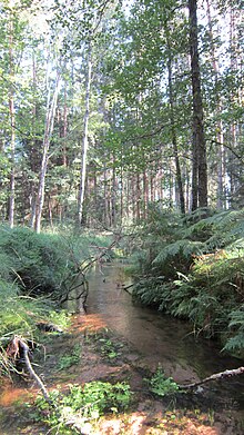 Le Schwarzbach à Sturzelbronn