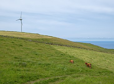 Serra Branca wind farm, Graciosa Island, Azores, Portugal