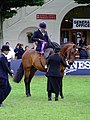 A modern sidesaddle rider at a horse show in Ireland showing the "off" (right) side of an English style sidesaddle and its supportive girth system. Individual standing at head of horse is also wearing a sidesaddle habit.