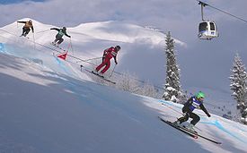 Skicross2010 ifloslantiruvchi moddalar Huit Hofer Delbosco Miaillier Spalinger 2.JPG