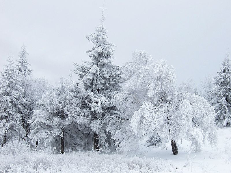 File:Snow Scene at Shipka Pass 3.jpg