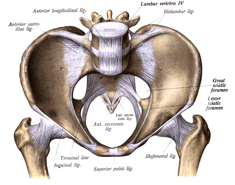 File:Sobo 1909 210.png