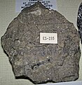 Sphalerite replacing dolostone (Bonneterre Dolomite, Upper Cambrian; Magmont Mine, New Lead Belt, Bixby, Missouri, USA) 1 (41397242171).jpg
