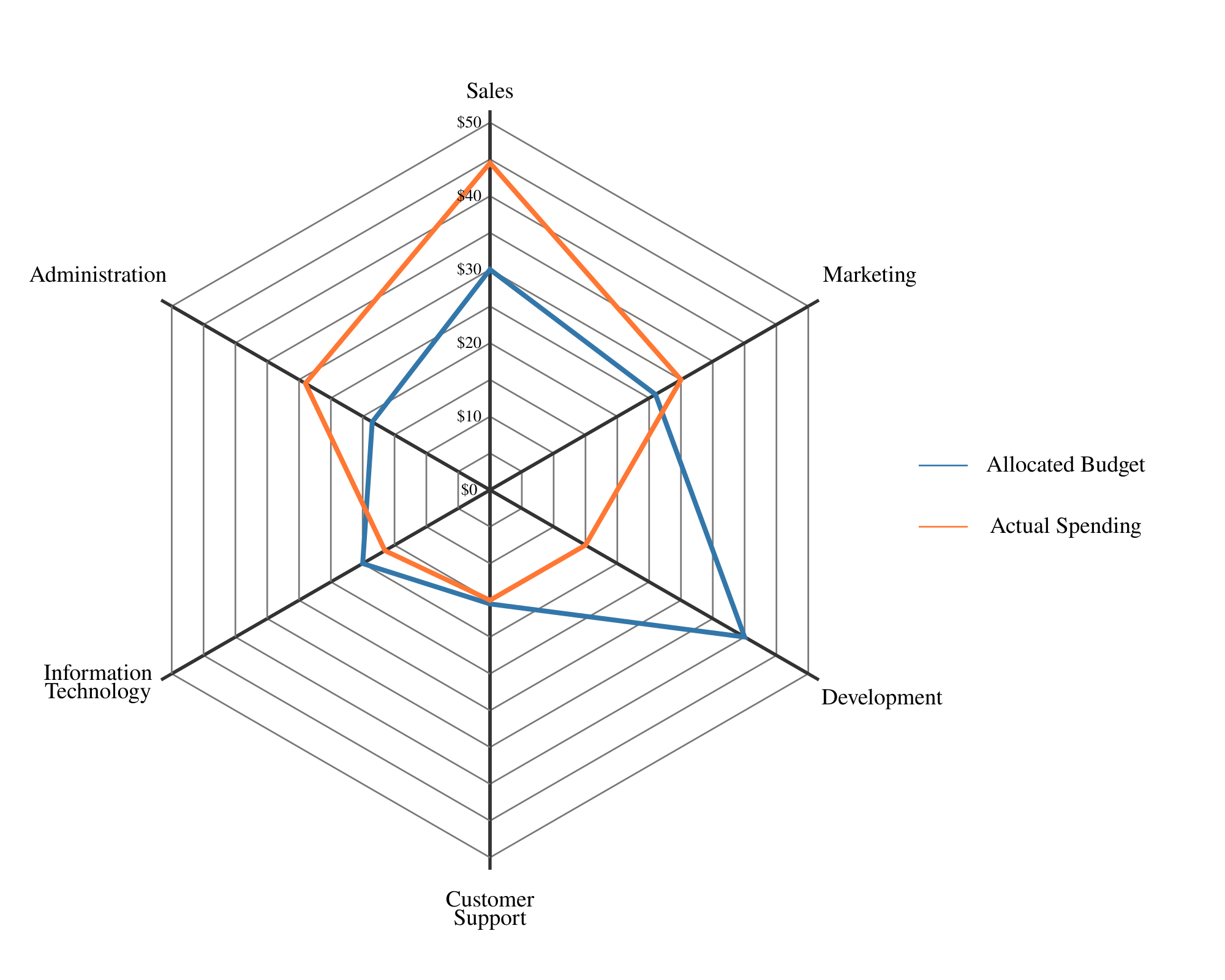 Radar Spider Chart