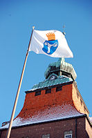 Östersund municipality's flag is an example of a municipal flag where the coat of arms has simply been placed in shield form on a white flag cloth, in this case also combined with a crown.