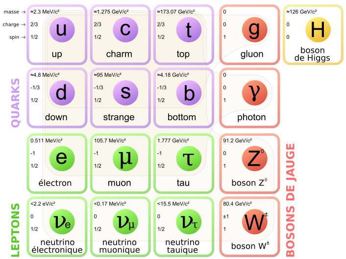 Standard Model of Elementary Particles-fr.svg