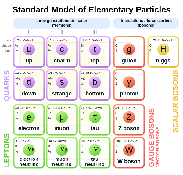 Elementary particles of the Standard Model: six types of quarks, six types of leptons, four types of gauge bosons that carry fundamental interactions, as well as the Higgs boson, which endow elementary particles with mass.