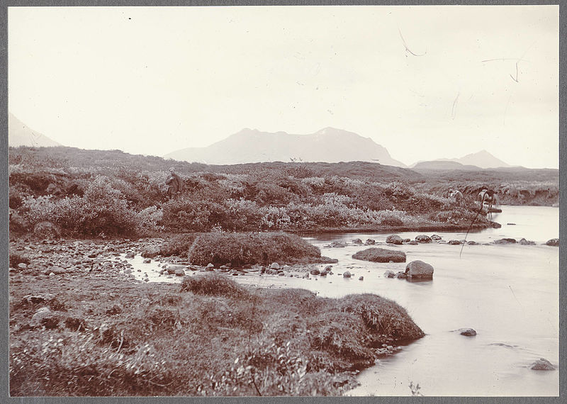 File:Stepping-stones in brook, near Brúará. (4558887712).jpg