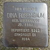 Stolperstein für Dina Rosenbaum geb. Steinmann