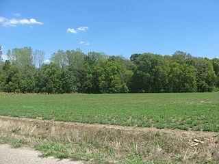 <span class="mw-page-title-main">Stoner Site</span> Archaeological site in Illinois, US