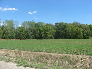 Lamotte Township, Crawford County, Illinois Township in Illinois, United States