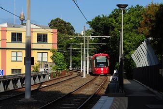 Tram from the city approaching Glebe station on the Sydney Light Rail.