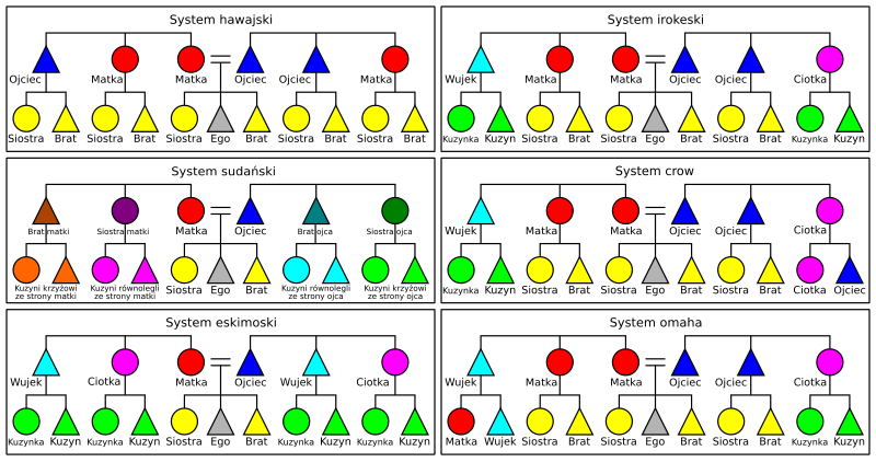 File:Systemy pokrewieństwa 01.svg
