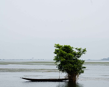 Tanguar Haor, Sunamganj, Bangladesh. One of the largest waterlands in the country and one of the most spectacular places to visit. Photograph: Laz Mahmud Licensing: CC-BY-SA-4.0