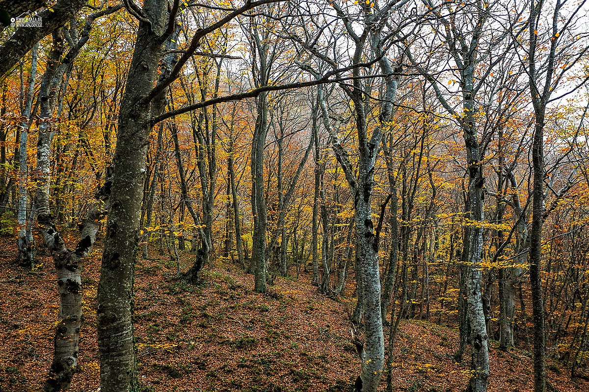 Tbilisi National Park6.jpg