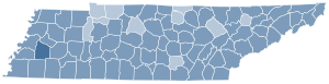 Tennessee Constitutional Amendment 4 results 2022.svg