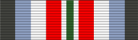 Медаль Техасской кампании в Афганистане Ribbon.svg