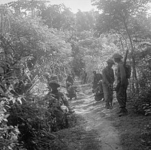 Indian and British troops move cautiously along a jungle track round the town of Gresik. The British Occupation of Java SE6731.jpg