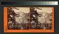 The Yosemite Falls, from Union Pt. Yosemite (NYPL b11707313-G89F391 037F).tiff