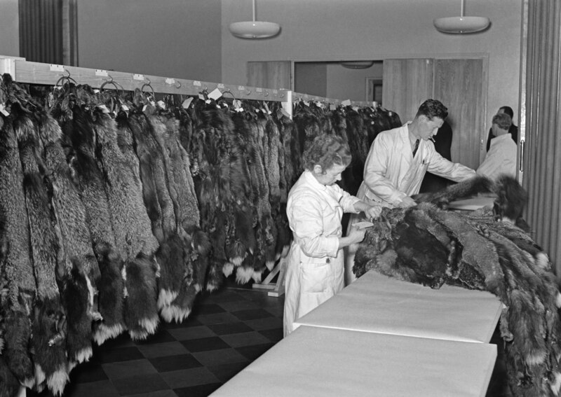 File:The first fur auction in Helsinki (4593C; JOKAHBL3C B32-1).tif