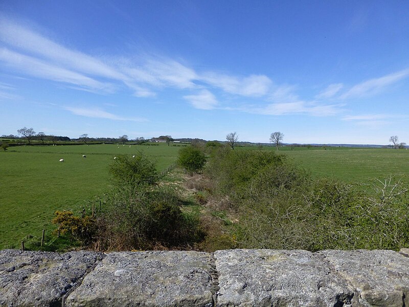 File:The overgrown trackway of the old Wansbeck railway - geograph.org.uk - 4450840.jpg