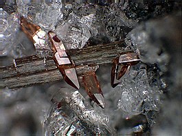 Titanite crystals on Amphibole - Ochtendung, Eifel, Germany.jpg