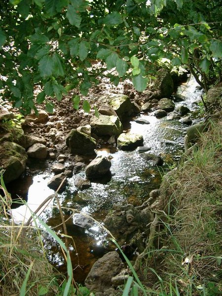 File:Tributary of the Cessnock Water, near Little Sorn - geograph.org.uk - 224995.jpg