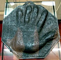 Calco della mano dello zar Pietro (GIM)