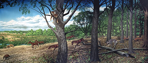 Restoration of Nimravus (far left) and other animals from the Turtle Cove Formation