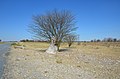 Tutume, Botswana - panoramio (5).jpg