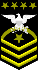Navy insignia(Pending approval)[12]