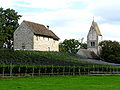 Ufenau - Martinskapelle & Peter und Paul IMG 0865.jpg